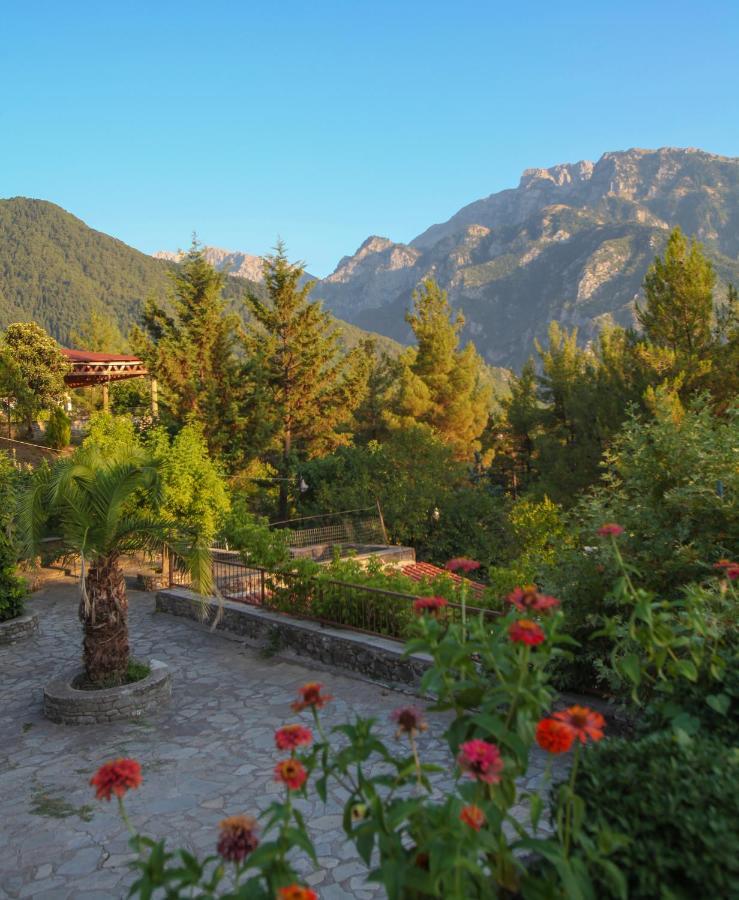 Hotel Konitsa Panorama Exterior foto